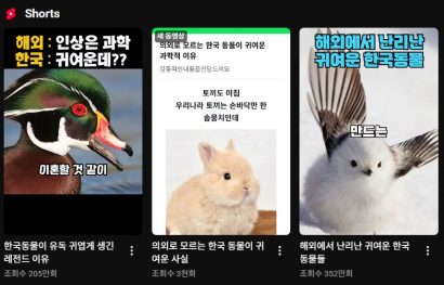 AnimalKorea