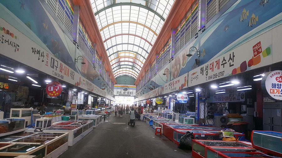 PohangFishMarket06.jpg